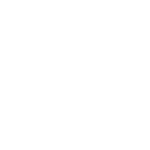 SeesingFlex